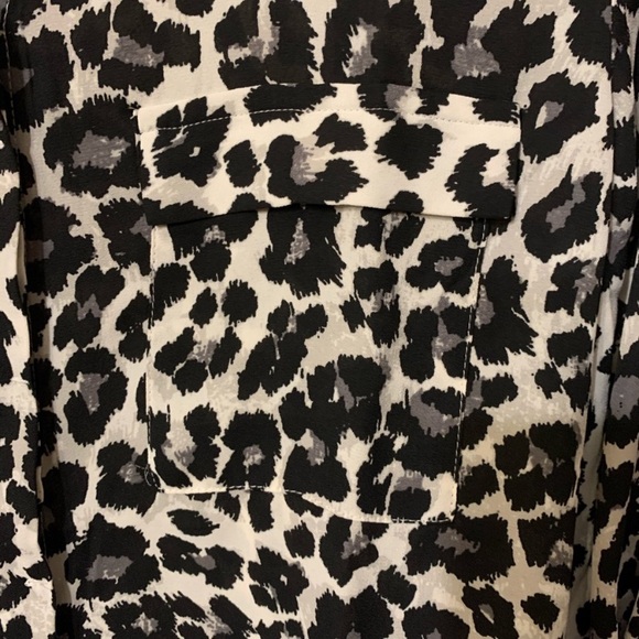 Button down - Picture 5 of 5